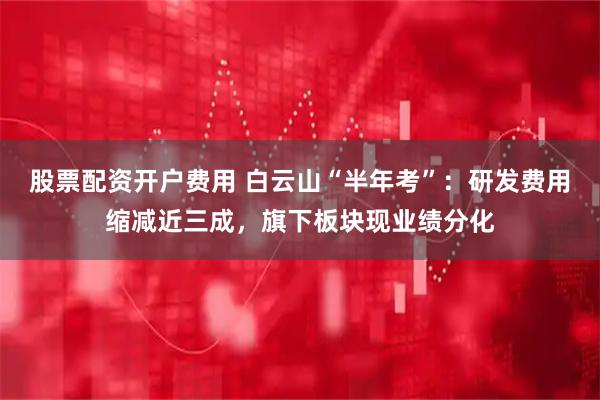 股票配资开户费用 白云山“半年考”：研发费用缩减近三成，旗下板块现业绩分化