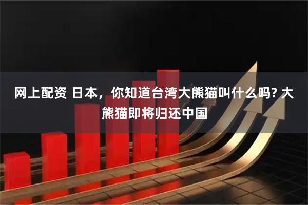 网上配资 日本，你知道台湾大熊猫叫什么吗? 大熊猫即将归还中国